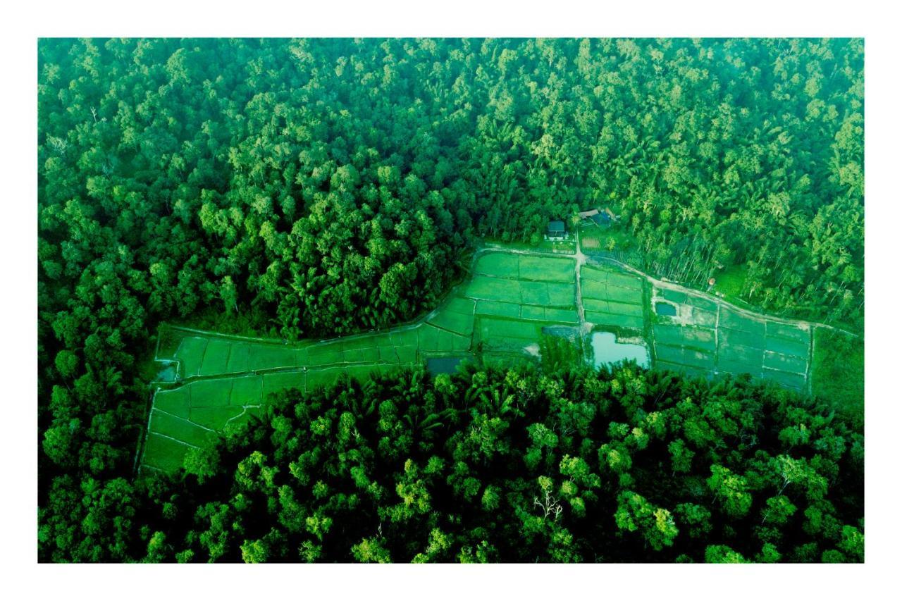 Vayal Veedu - Luxury Farm Villas By The Woods Muthanga Bagian luar foto